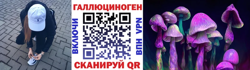 Купить  Верхоянск  Псилоцибиновые грибы прущие грибы 